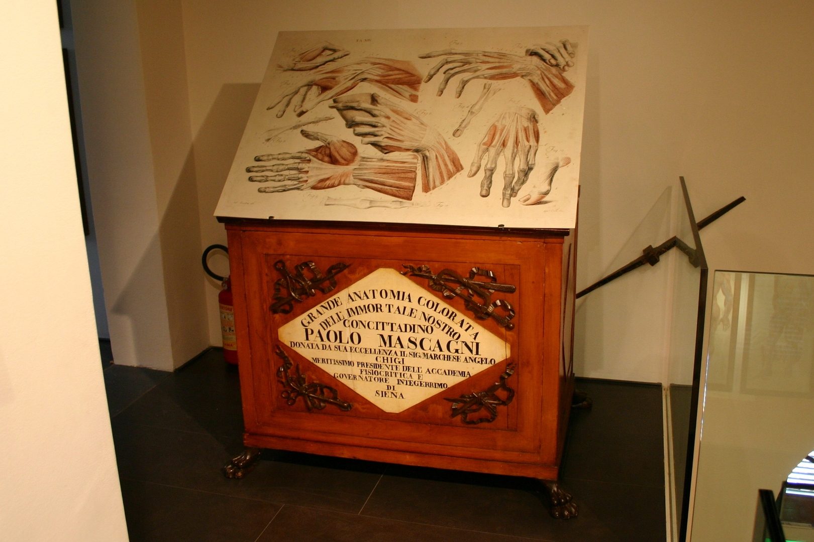 Sala 'Paolo Mascagni', Accademia dei Fisiocritici, Siena, Italy - 06.JPG